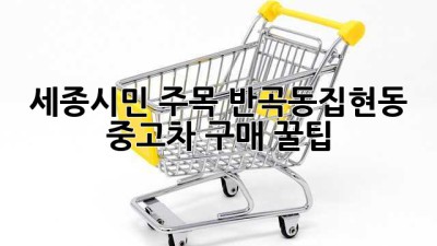 세종시민 주목! 반곡동/집현동 중고차 구매 꿀팁 🚗✨