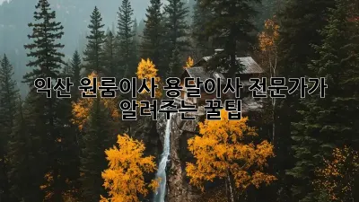 익산 원룸이사? 용달이사 전문가가 알려주는 꿀팁!
